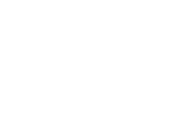 wordpress-logo-w